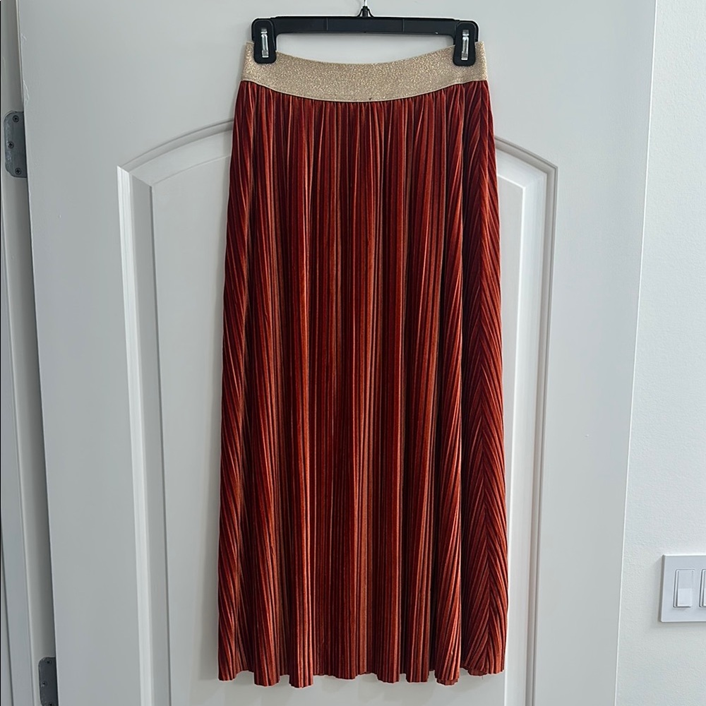 Brown Maxi A-Line Pleated Skirt for Cocktail